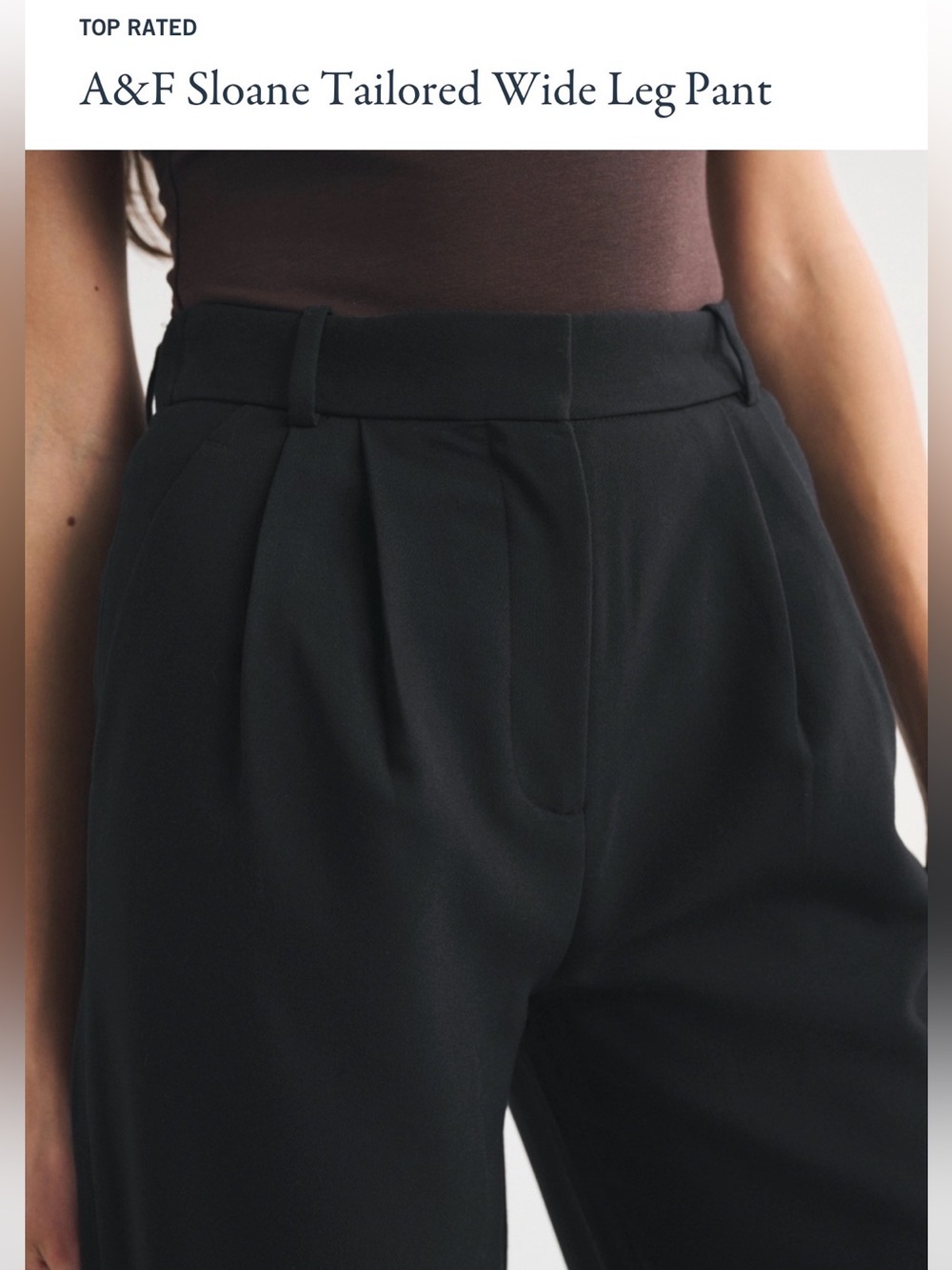 NWT ‼️ A&F Tailored Wide Leg Pants - Picture 3 of 6